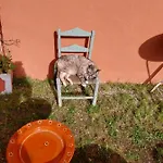 Holiday home Casa Odelia Almargem do Bispo