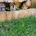 Holiday home Casa Odelia Almargem do Bispo