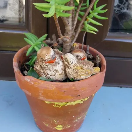 Casa Odélia Almargem