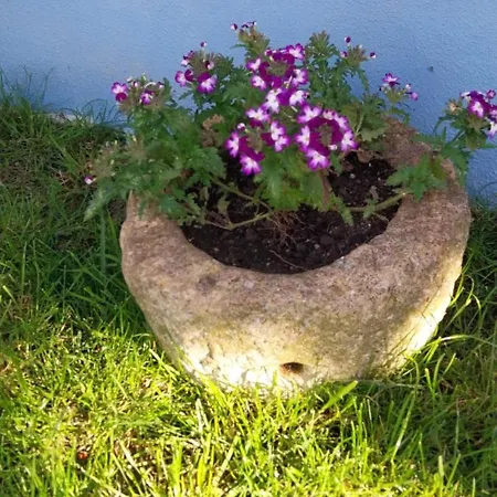 Casa Odélia * Almargem