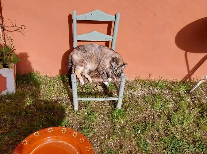 Semesterbostad Casa Odelia Almargem