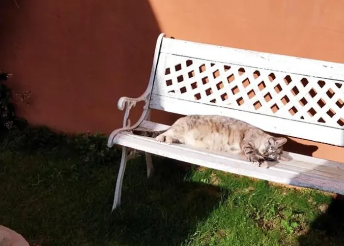 Casa Odelia Semesterbostad