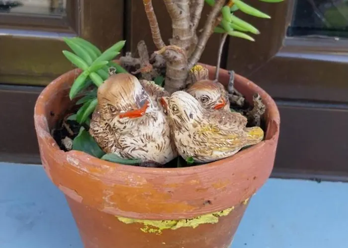 Casa Odelia Almargem