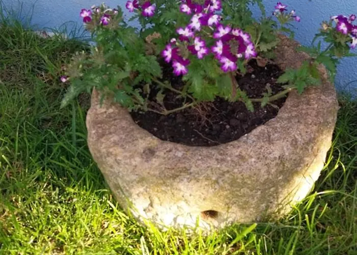 Casa Odelia * Almargem